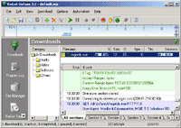 ReGet Deluxe Screenshot